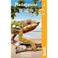 Madagascar Wildlife