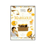 Marigold : Calendula Officinalis: A Step-by-Step Guide