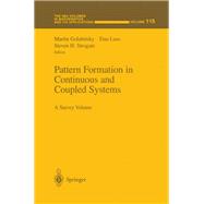 Pattern Formation in Continuous and Coupled Systems