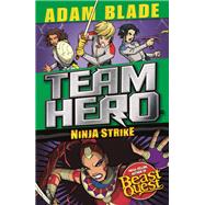 Team Hero: Ninja Strike Series 4 Book 2