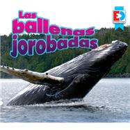 Las ballenas jorobadas (Humpback Whales)