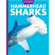 Curious about Hammerhead Sharks