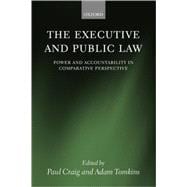 The Executive and Public Law Power and Accountability in Comparative Perspective