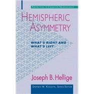 Hemispheric Asymmetry