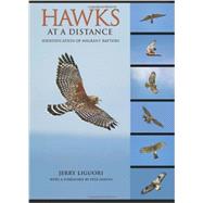Hawks at a Distance