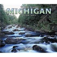 Wild & Scenic Michigan Deluxe 2004 Calendar