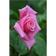 Pink Rose Journal
