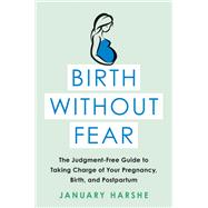Birth Without Fear The Judgment-Free Guide to Taking Charge of Your Pregnancy, Birth, and Postpartum