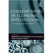 Current Issues in Economic Integration