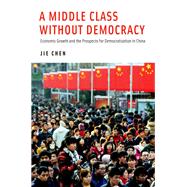 A Middle Class Without Democracy Economic Growth and the Prospects for Democratization in China