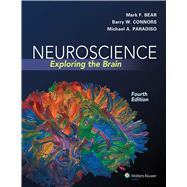 Neuroscience + the Human Body