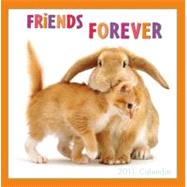 Friends Forever 2011 Calendar