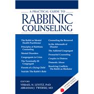 A Practical Guide to Rabbinic Counseling