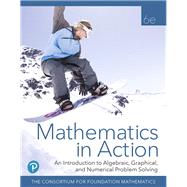 Mathematics in Action An Introduction to Algebraic, Graphical, and Numerical Problem Solving