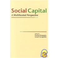 Social Capital