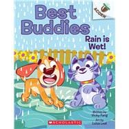 Rain is Wet!: An Acorn Book (Best Buddies #3)