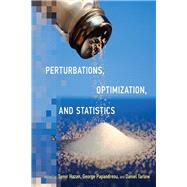 Perturbations, Optimization, and Statistics