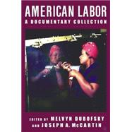 American Labor A Documentary History