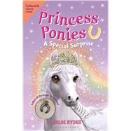 Princess Ponies 7: A Special Surprise