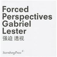 Gabriel Lester Forced Perspectives
