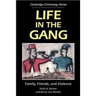 Life in the Gang: Family, Friends, and Violence