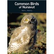 Common Birds of Nunavut (English)