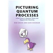 Picturing Quantum Processes