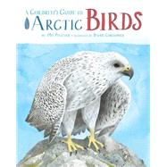 A Children's Guide to Arctic Birds (English)