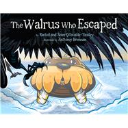 The Walrus Who Escaped (English)