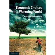 Economic Choices in a Warming World