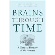 Brains Through Time A Natural History of Vertebrates