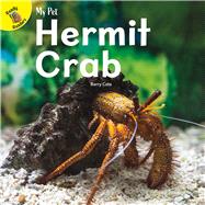 My Pet Hermit Crab