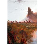 How the Earth Feels