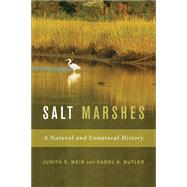 Salt Marshes