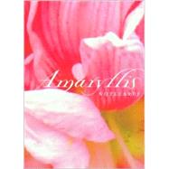 Amaryllis Note Cards in a Two-Piece Box