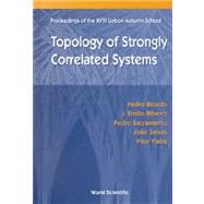 Topology of Strongly Correlated Systems: Proceedings of the XVIII Lisbon Autumn School Lisbon, Portugal 8-13 October, 2000