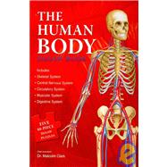 The Human Body Jigsaw Book