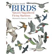 Birds Nature's Magnificent Flying Machines