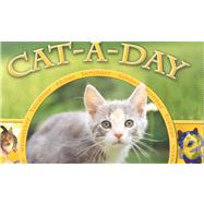 Cat-a-day 2007 Calendar