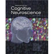 Principles of Cognitive Neuroscience