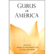 Gurus In America