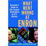 What Went Wrong at Enron : Everyone's Guide to the Largest Bankruptcy in U. S. History