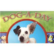Dog-a-day 2007 Calendar