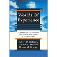 Worlds Of Experience Interweaving Philosophical And Clinical Dimensions In Psychoanalysis