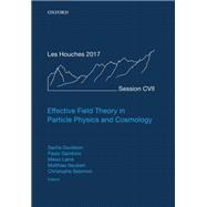 Effective Field Theory in Particle Physics and Cosmology Lecture Notes of the Les Houches Summer School: Volume 108, July 2017