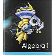 Algebra 1 Stand Alone Digital Courseware (1-year license)