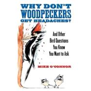 Why Don't Woodpeckers Get Headaches? And Other Bird Questions You Know You Want to Ask