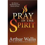 Pray in the Spirit : The Work of the Holy Spirit in the Ministry of Prayer
