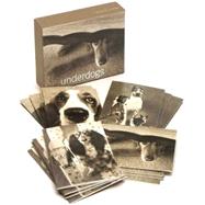 Underdogs Note Cards in a Two-Piece Box