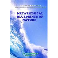 Metaphysical Blueprints of Nature: How All Life Is Emerging from the Conscious Expansion of Space-time